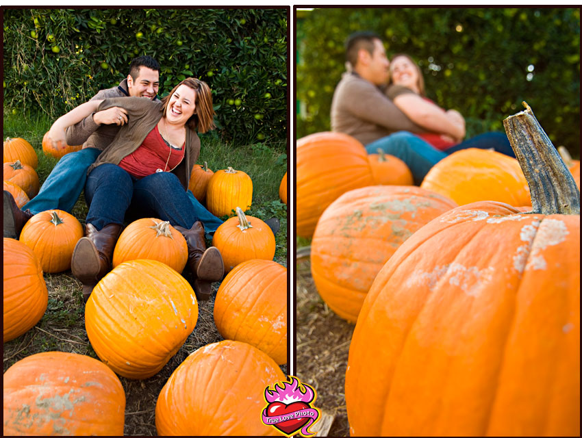 pure pumpkin love